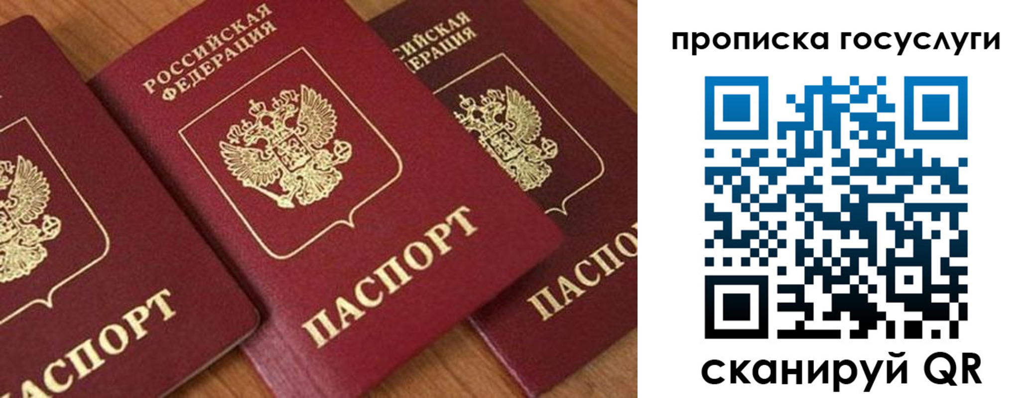 временная прописка в Алексине
